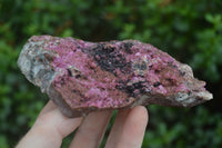 Natural Extra Large Salrose Cobaltion Dolomite Specimens x 2 From Kakanda, Congo - Toprock Gemstones and Minerals 