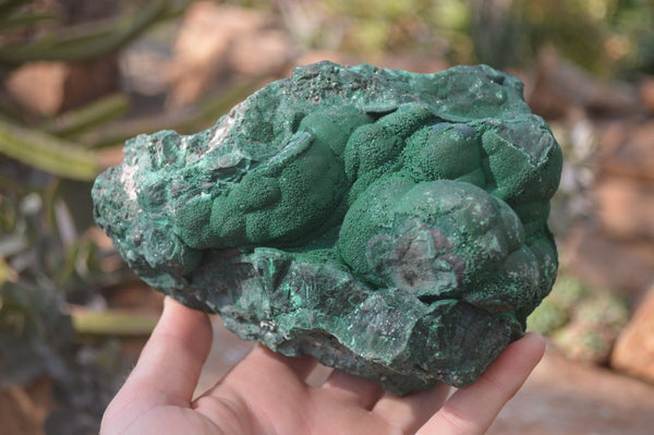 Natural Chatoyant Malachite On Matrix Specimen  x 1 From Congo