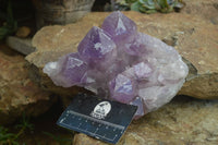 Natural Jacaranda Amethyst Clusters x 2 From Mumbwa, Zambia - TopRock