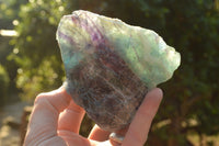 Natural Cobbed & Stone Sealed Watermelon Fluorite Pieces x 5 From Uis, Namibia - TopRock