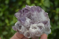 Natural Sugar Amethyst Clusters  x 6 From Solwezi, Zambia