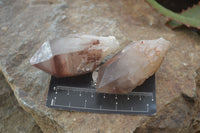 Natural Red Hematoid Quartz Specimens x 12 From Karoi, Zimbabwe