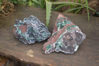 Natural Drusy Coated Ball Malachite On Dolomite Specimens x 2 From Likasi, Congo