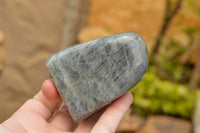 Polished Beautiful Selection Of Labradorite Standing Free Forms  x 5 From Tulear, Madagascar - TopRock