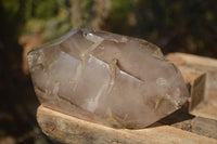 Polished Double Terminated Smokey Quartz Stepped Crystal x 1 From Madagascar