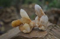 Natural White & Golden Limonite Spirit Quartz Crystals  x 20 From Boekenhouthoek, South Africa - Toprock Gemstones and Minerals 