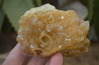 Natural Limonite Quartz Clusters x 12 From Solwezi, Zambia