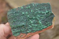 Natural Micro Botryoidal Crystalline Malachite Specimens  x 19 From Tenke Fungurume, Congo - TopRock