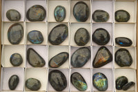 Polished Flashy Labradorite Palm Stones  x 24 From Tulear, Madagascar - TopRock