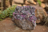 Natural Salrose Cobaltion Dolomite Specimen x 1 From Kakanda, Congo - TopRock