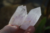 Natural Clear Quartz Crystals With Hints Of Amethyst  x 12 From Brandberg, Namibia - Toprock Gemstones and Minerals 