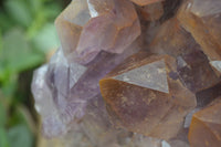 Natural Jacaranda Amethyst Cluster x 1 From Mumbwa, Zambia - TopRock