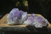 Natural Jacaranda Amethyst Clusters x 2 From Mumbwa, Zambia - TopRock