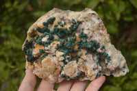 Natural Rare Ball Malachite On Golden Limonite Quartz & Dolomite Specimen x 1 From Kambove, Congo