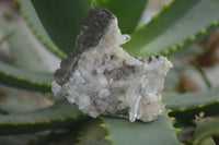 Natural Clear Quartz Matrix Specimens  x 6 From Brandberg, Namibia - Toprock Gemstones and Minerals 