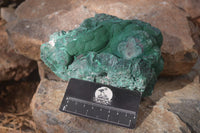 Natural Chatoyant Malachite On Matrix Specimen  x 1 From Congo