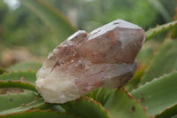 Natural Red Hematoid Quartz Specimens x 12 From Karoi, Zimbabwe - TopRock