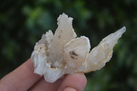 Natural Drusy Quartz Coated Calcite Crystals  x 12 From Alberts Mountain, Lesotho - Toprock Gemstones and Minerals 