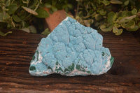 Natural Blue Chrysocolla On Silky Malachite Matrix Specimen  x 1 From Kulukuluku, Congo - Toprock Gemstones and Minerals 