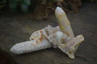 Natural White & Golden Limonite Spirit Quartz Crystals  x 20 From Boekenhouthoek, South Africa - Toprock Gemstones and Minerals 