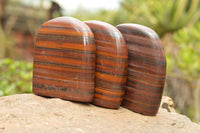 Polished Banded Tiger Iron / Muggle Stone Standing Free Forms  x 3 From Northern Cape, South Africa - TopRock