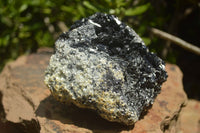 Natural Black Tourmaline Specimen x 1 From Erongo Mountains, Namibia - TopRock