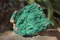 Natural Micro Botryoidal Crystalline Malachite Specimens  x 2 From Congo