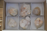 Natural White Cactus Flower Spirit Quartz Specimens x 6 From Boekenhouthoek, South Africa