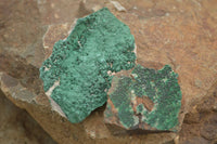 Natural Micro Botryoidal Crystalline Malachite Specimens  x 19 From Tenke Fungurume, Congo - TopRock