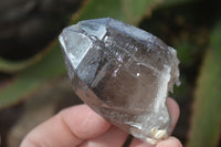 Natural Smokey Quartz Crystal Specimens x 12 From Mulanje, Malawi