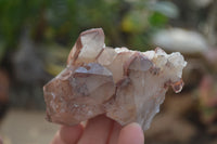 Natural Red Hematoid Quartz Specimens x 12 From Karoi, Zimbabwe