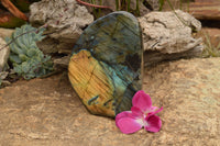 Polished Labradorite Standing Free Form With A Full Face Flash x 1 From Tulear, Madagascar - TopRock