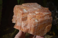 Natural New Sunset Orange Calcite Specimens  x 3 From Spitzkop, Namibia