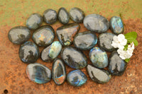 Polished Flashy Labradorite Palm Stones  x 24 From Tulear, Madagascar - TopRock