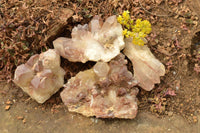 Natural Red Hematoid Phantom Quartz Clusters  x 4 From Zambia - TopRock