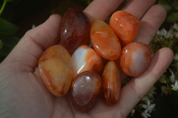 Polished  Carnelian Agate Tumble Stones  x 1 Kg Lot From Madagascar