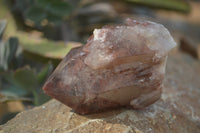 Natural Red Hematoid Quartz Specimens x 12 From Karoi, Zimbabwe