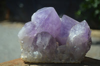 Natural Jacaranda Amethyst Clusters x 2 From Mumbwa, Zambia - TopRock