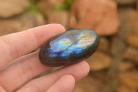 Polished Flashy Labradorite Palm Stones  x 24 From Tulear, Madagascar - TopRock