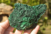 Natural Chatoyant Silky Malachite Specimens x 6 From Kasompe, Congo - TopRock