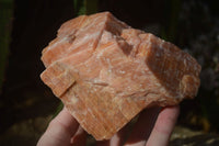 Natural New Sunset Orange Calcite Specimens  x 3 From Spitzkop, Namibia