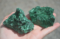 Natural Chatoyant Silky Malachite Specimens  x 6 From Kasompe, Congo - TopRock