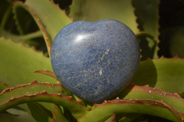 Polished Blue Lazulite Hearts x 6 From Madagascar