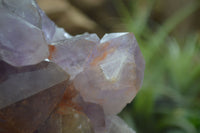 Natural Jacaranda Amethyst Cluster x 1 From Mumbwa, Zambia - TopRock