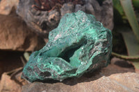 Natural Chatoyant Malachite On Matrix Specimen  x 1 From Congo