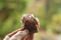 Natural Amethyst & Basalt Geode Specimens  x 24 From Zululand, South Africa - TopRock