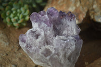 Natural Sugar Amethyst Clusters  x 6 From Solwezi, Zambia