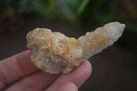 Natural White & Golden Limonite Spirit Quartz Crystals  x 20 From Boekenhouthoek, South Africa - Toprock Gemstones and Minerals 