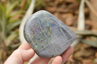 Polished Beautiful Selection Of Labradorite Standing Free Forms  x 5 From Tulear, Madagascar - TopRock