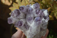 Natural Sugar Amethyst Clusters  x 4 From Solwezi, Zambia